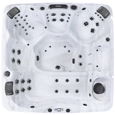 Avalon EC-867L hot tubs for sale in Paterson
