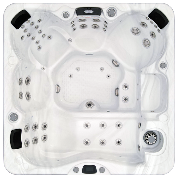 Avalon-X EC-867LX hot tubs for sale in Paterson